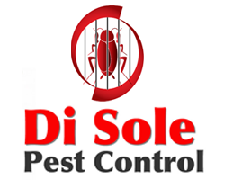 Di Sole Pest Control Logo